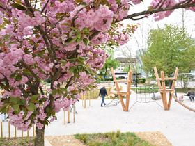  Foto: Žiga Živulović jr./BoBo