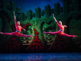  Foto: SNG Opera in balet Ljubljana / Darja Štravs Tisu
