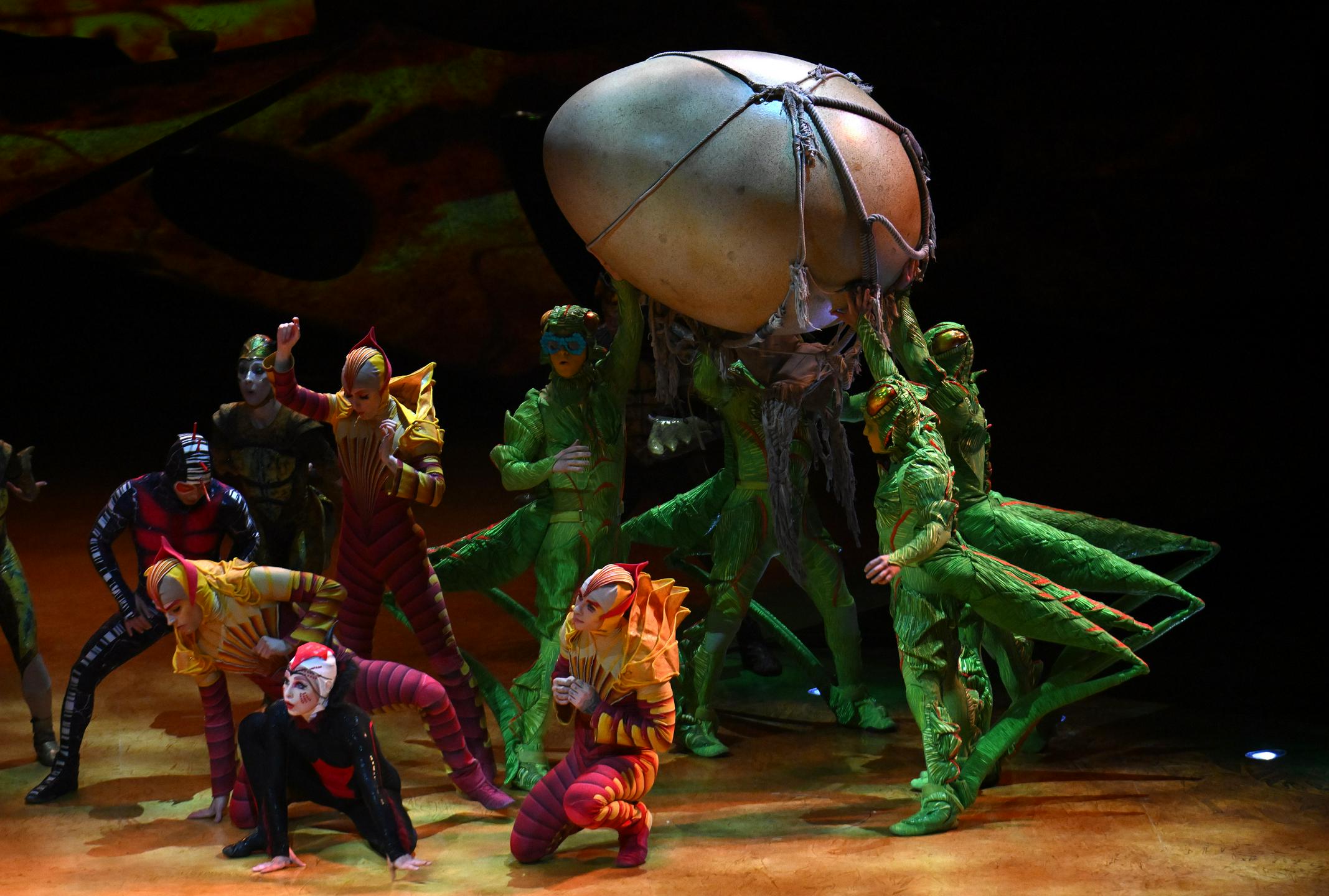 Barviti cirkuški spektakel v Stožicah: OVO navdušuje občinstvo