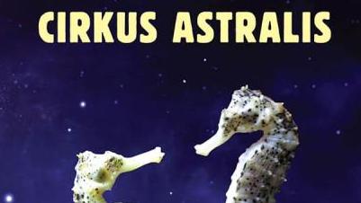 Zoran Predin: Cirkus Astralis