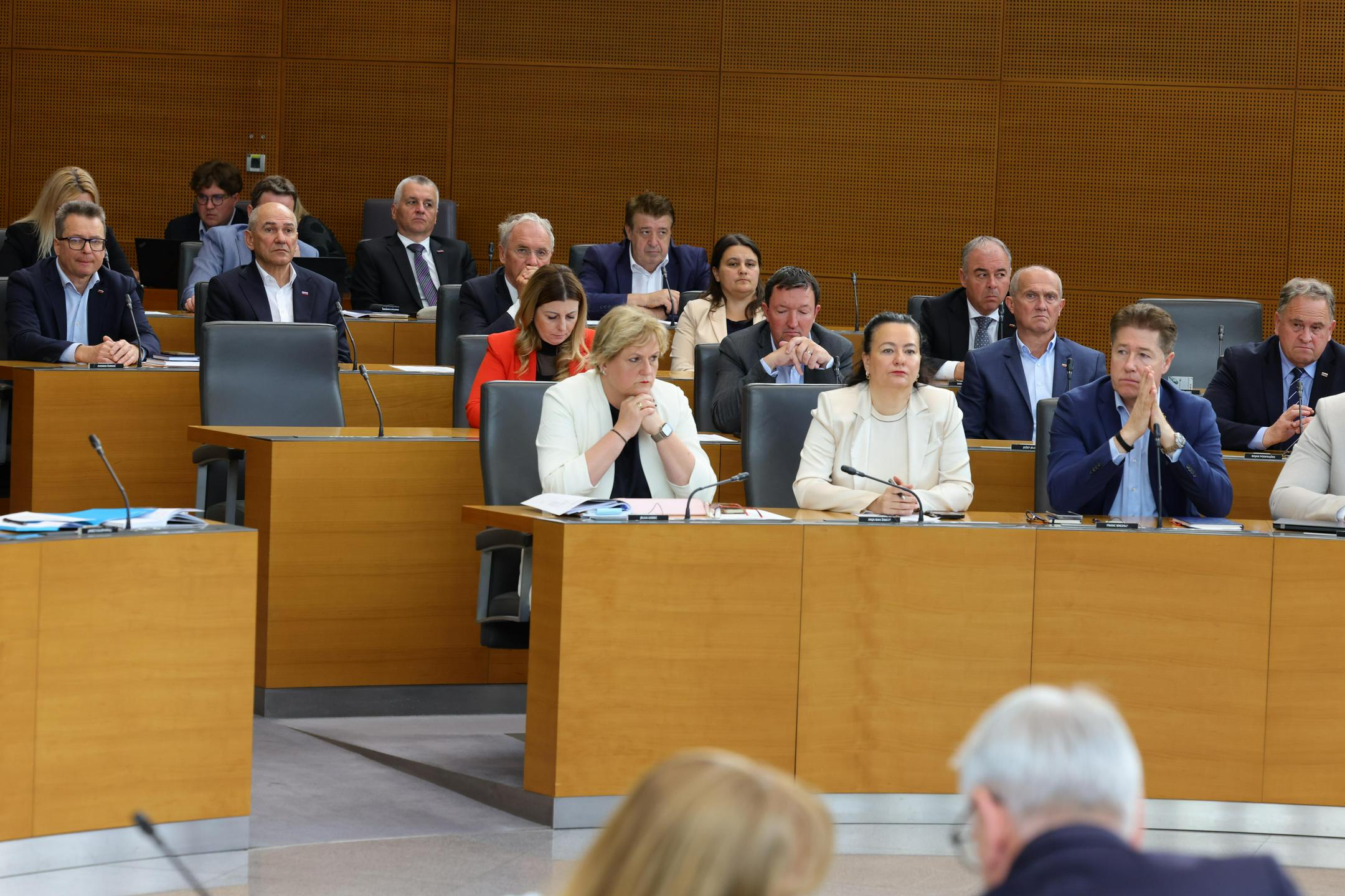 SDS vložila spremembe zakona o vladi, predlaga zmanjšanje števila ministrstev na 14