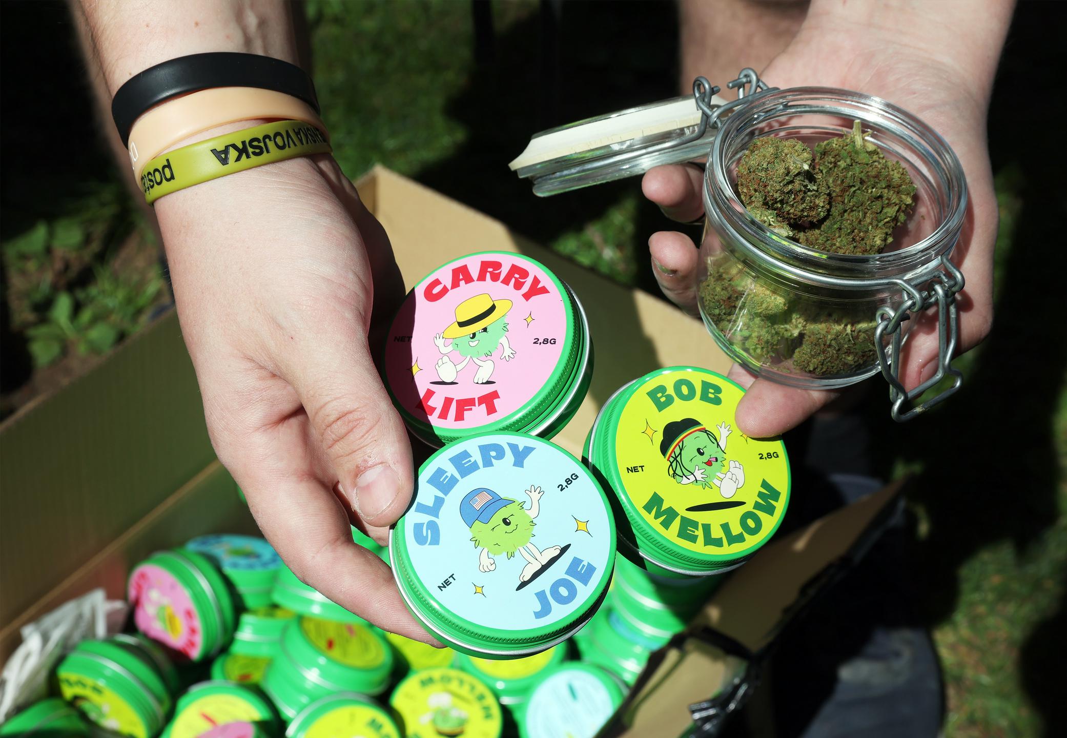 Marihuana marš: Slovenija najbližje celostni ureditvi zakonodaje o konoplj doslej, a boj ni končan