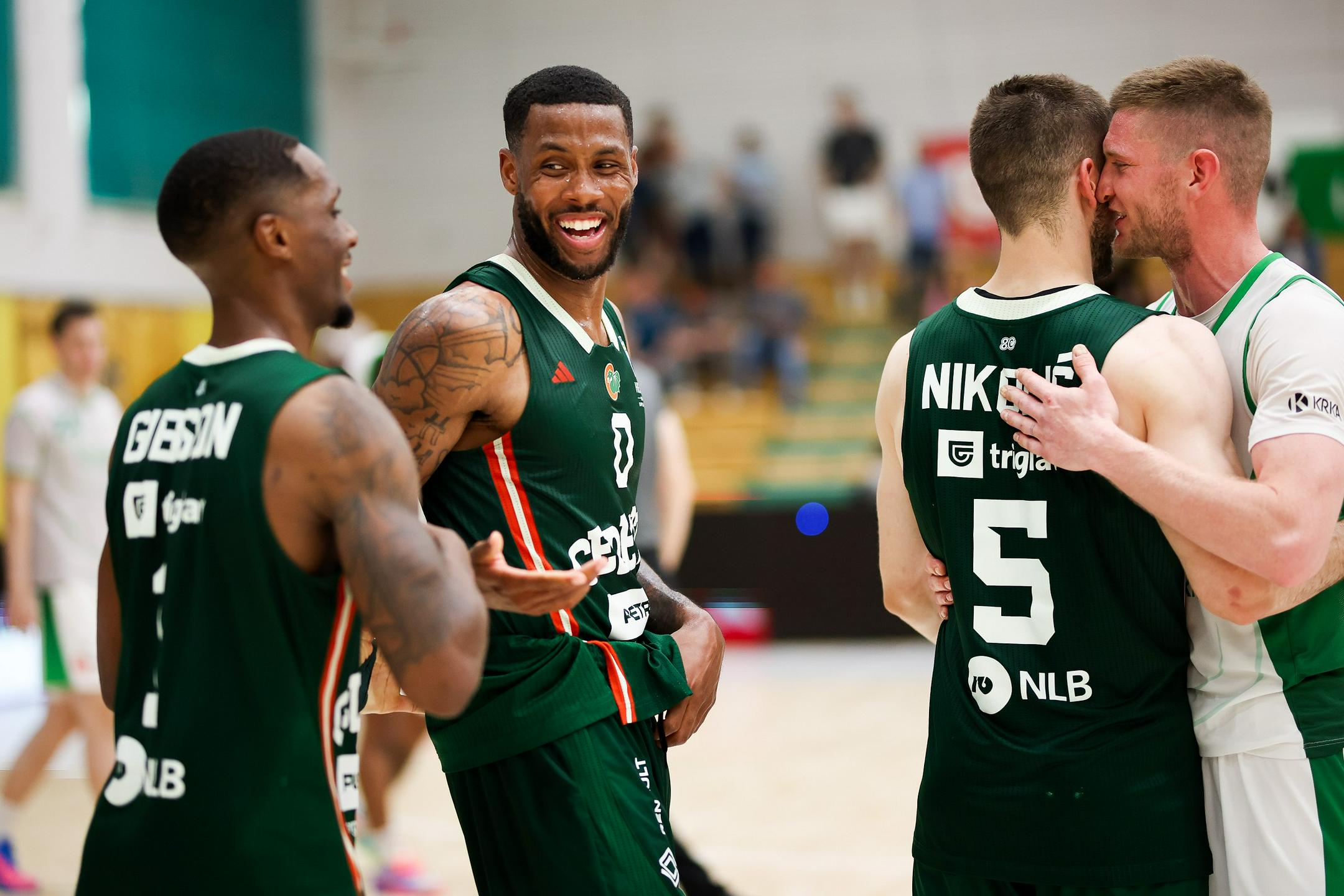 Nikolić in Stewart odhajata, Užbinec pa verjame, da bo Gibson ostal med zmaji