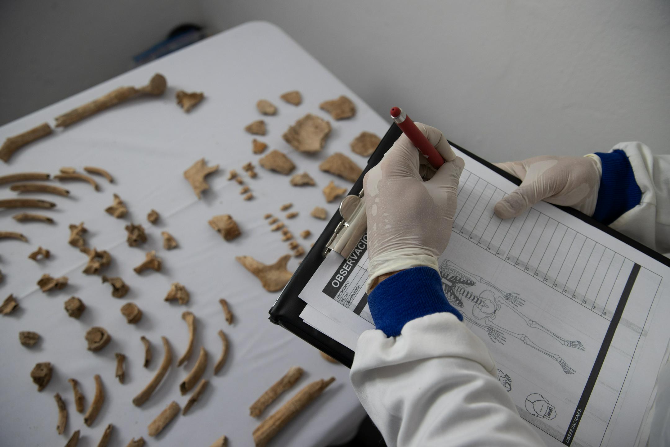 Kosti pripovedujejo zgodbe: mednarodno priznanje raziskavam slovenske bioarheologinje