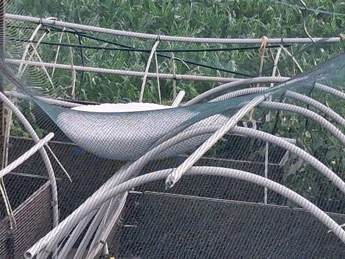 Na Ptuju padala toča, tudi drugod možni močni nalivi, pogosti udari strel in sunki vetra