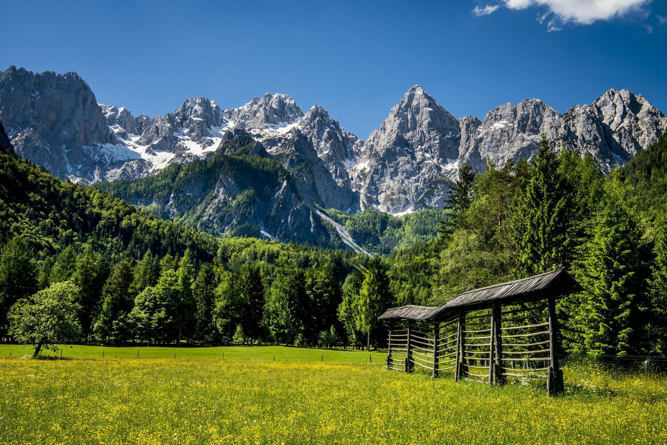 Poletni obisk Kranjske Gore popestrila nova panoramska vožnja na vrh Vitranca