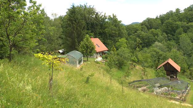Selitev iz Ljubljane na gozdno jaso