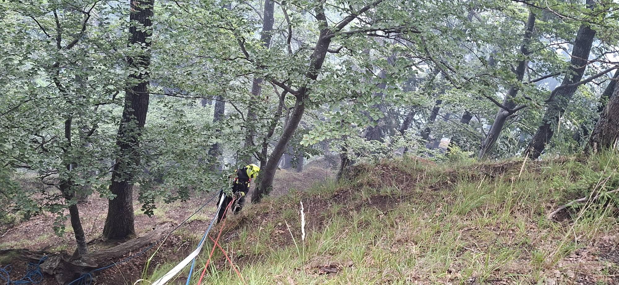 Na območju Bistriškega vintgarja izbruhnil obsežnejši gozdni požar, pohodniške poti so zaprte