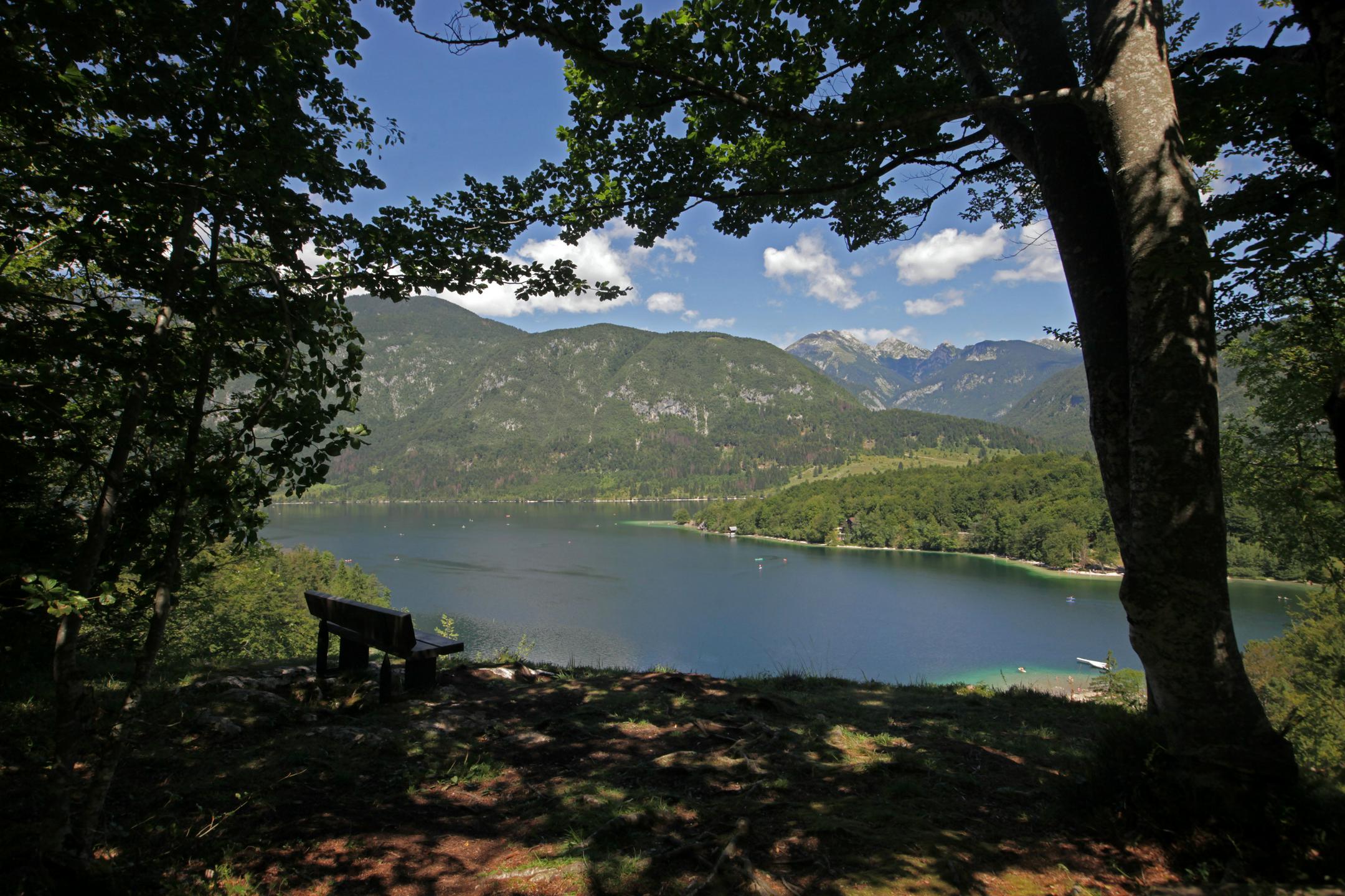 Cianobakterije zaznali samo v Bohinjskem jezeru