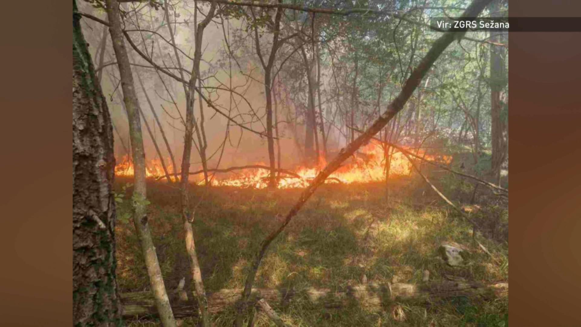 Zagorelo pri Lipici, požar pod nadzorom