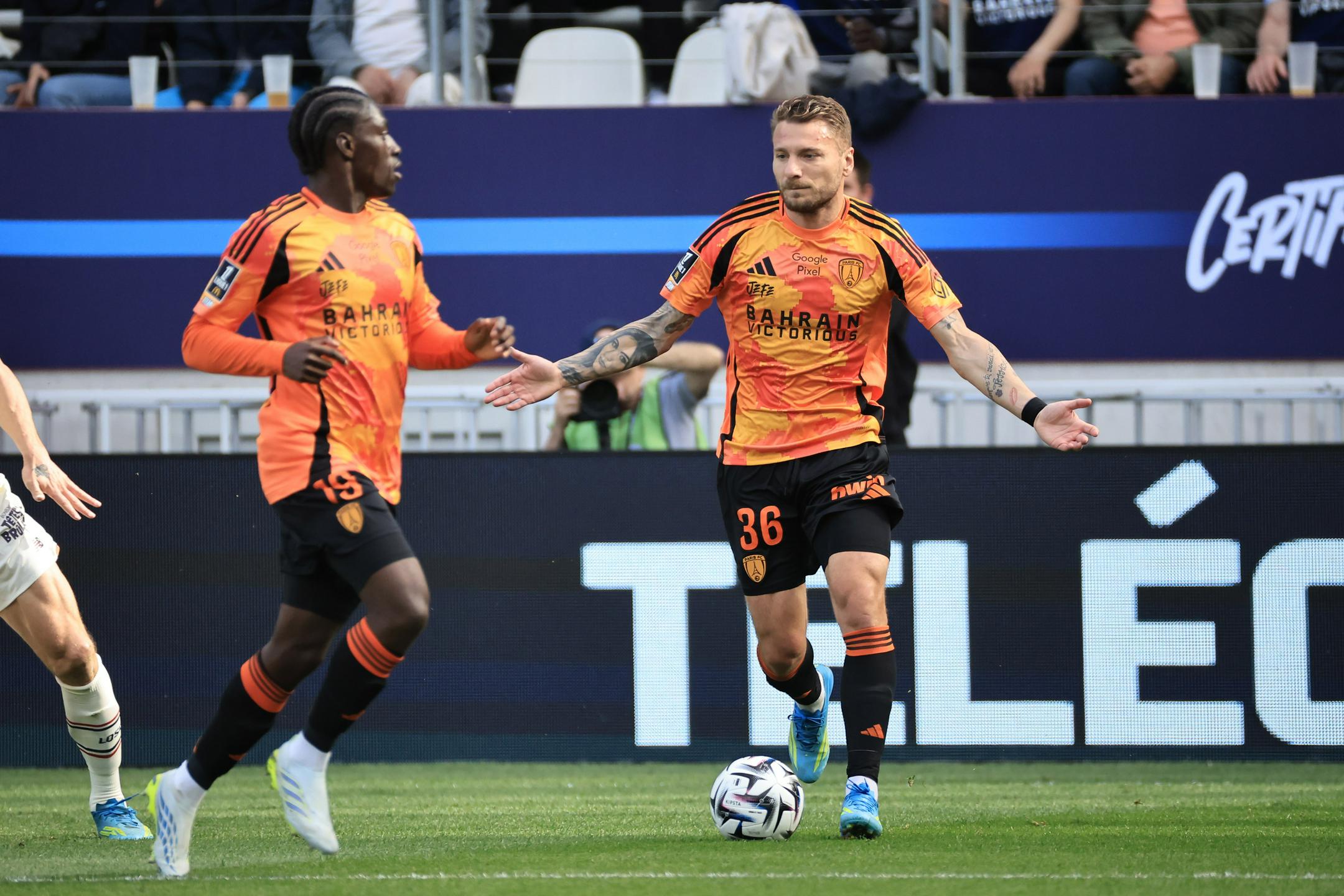 Immobile se je upokojil: 