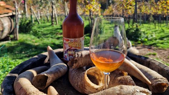 Vina, ki so proslavila Slovenijo v svetu, na udaru "najstroÅ¾je vinske zakonodaje" v Evropi