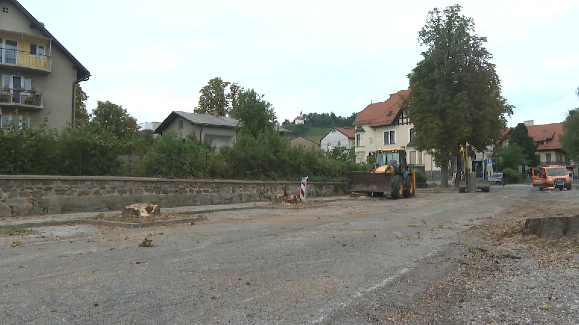 Posekane kostanje na Trubarjevi v Mariboru bodo nadomestili s še več drevesi