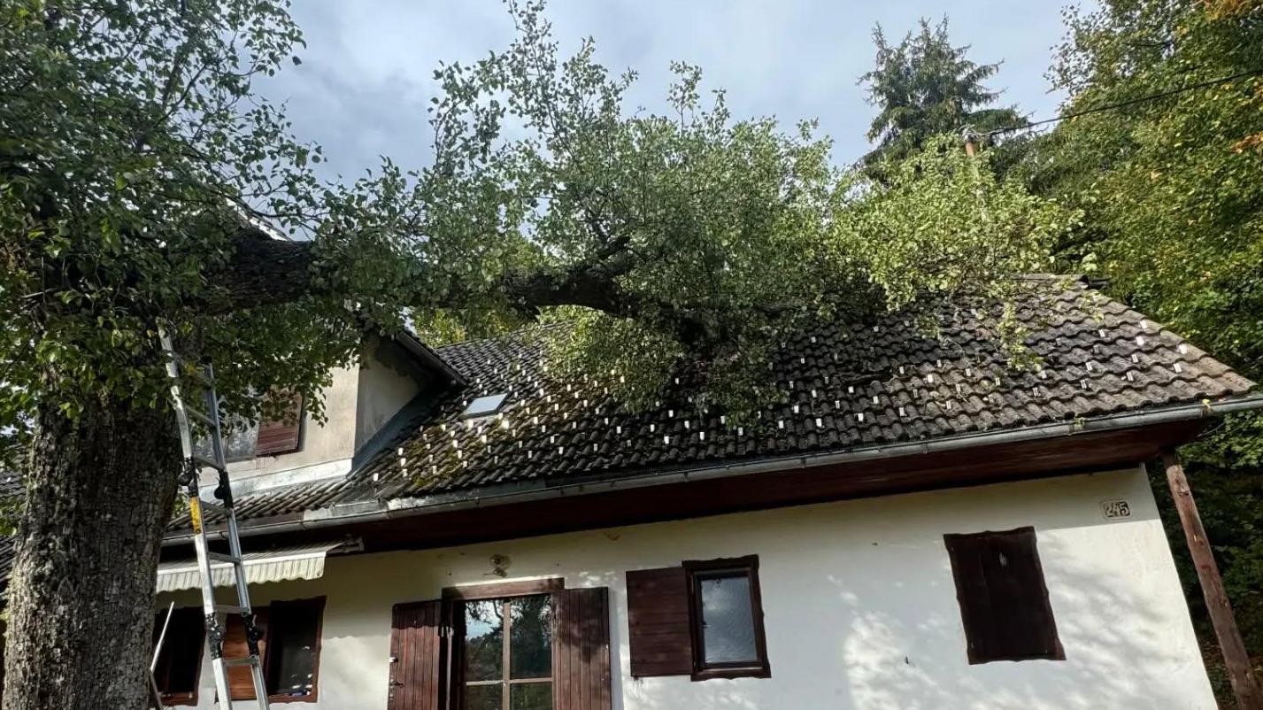 Ponoči nevihte podirale drevje in odkrile nekaj streh