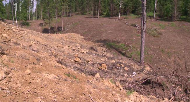 Krasoslovci pozivajo državo, naj ustavi stihijsko zasipanje vrtač