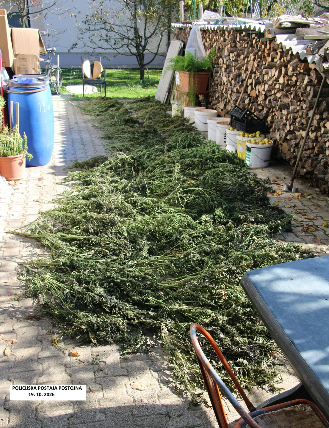 Moškemu z območja Postojne zasegli večjo količino konoplje in njenih derivatov