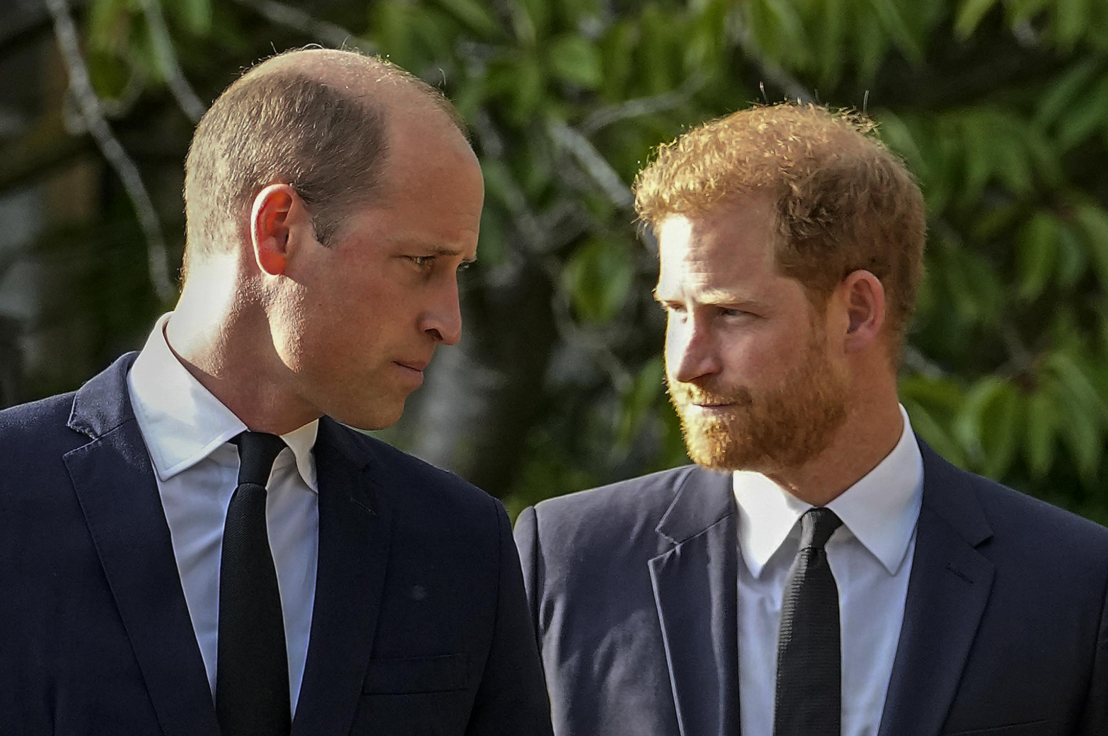 Princ Harry želi zgladiti odnos z odtujenim bratom Williamom