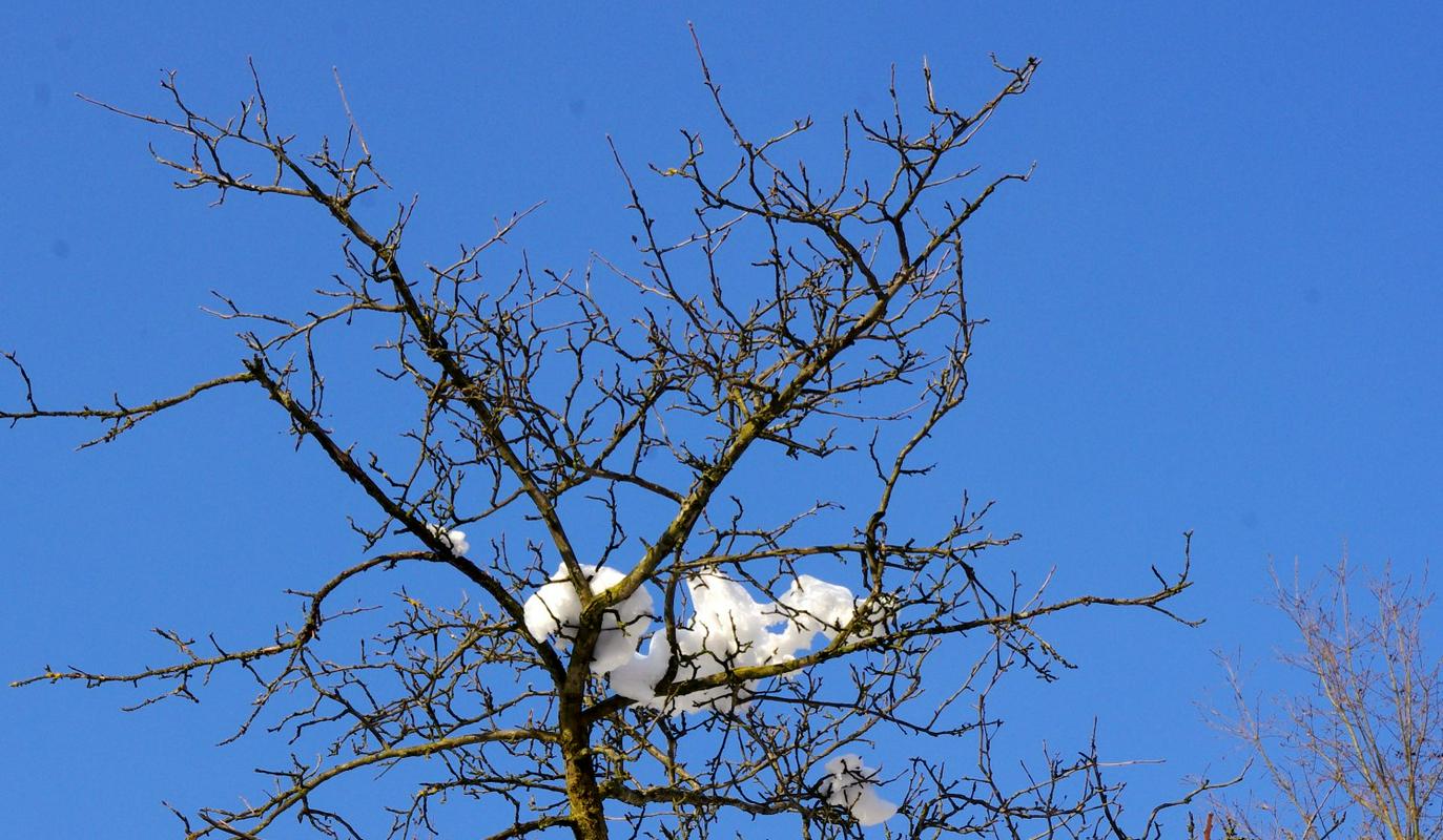 Kako nastanejo snežinke?