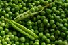Grah - zdrave zelene kroglice