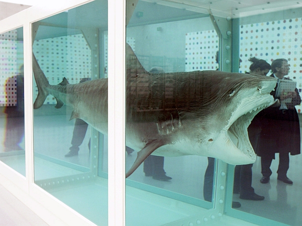Damien Hirst: The Physical Impossibility of Death in the Mind of Someone Living (1991/2006)